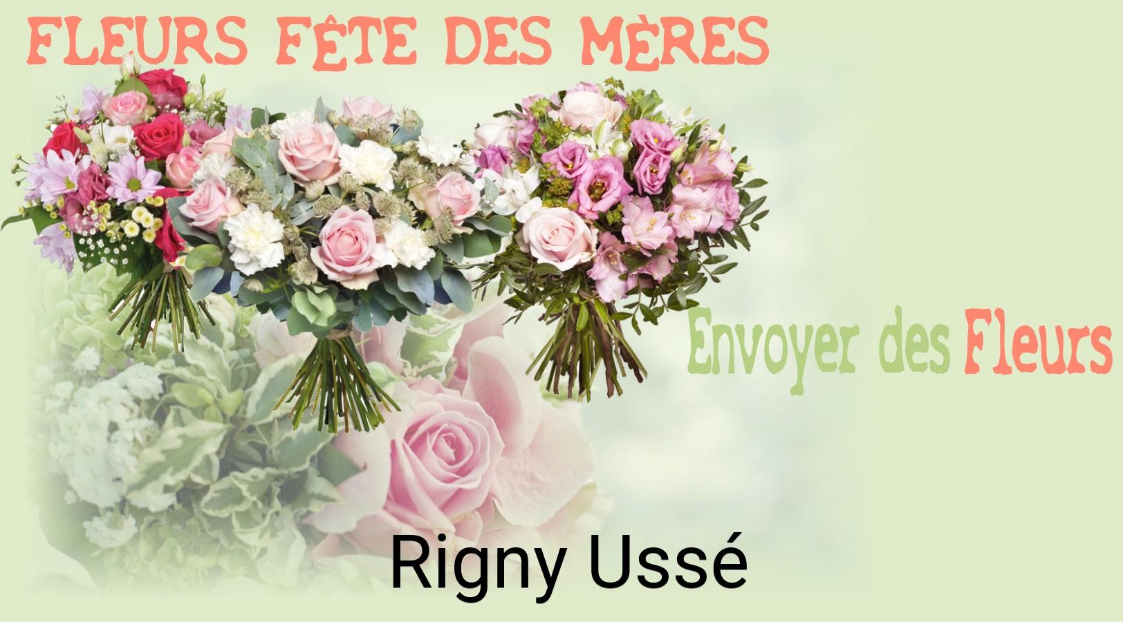 Bouquet de Fête des Mères livré à Rigny-Ussé